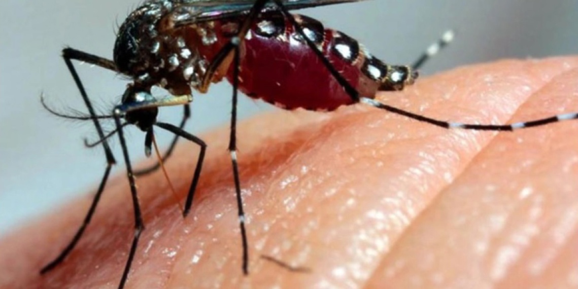 Defesa Civil de Itaporã alerta para epidemia de chikungunya e pede apoio da população