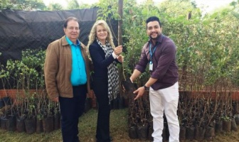 Itaporã recebe 300 mudas de árvores através de parceria com Energisa