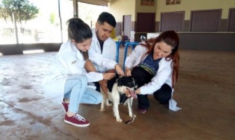 Vigilância Sanitária de Itaporã apresenta resultados da vacinação antirrábica 2019